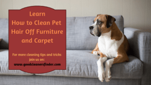 How to Clean Pet Hair Off Furniture and Carpet